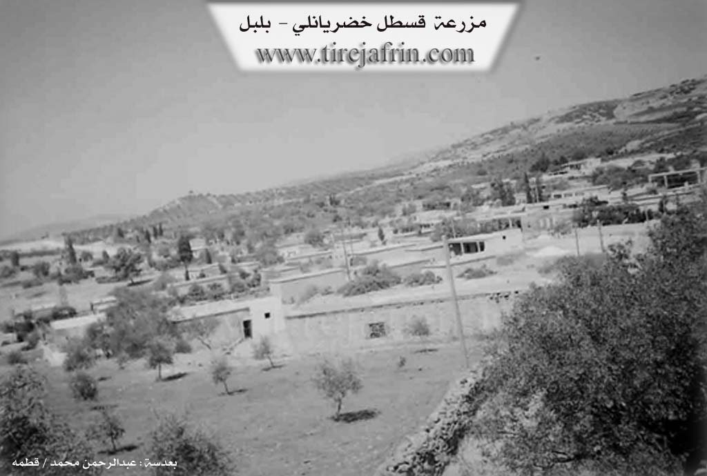 Photo of Qestelê Xidiriya